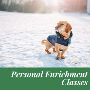 Personal Enrichment Classes